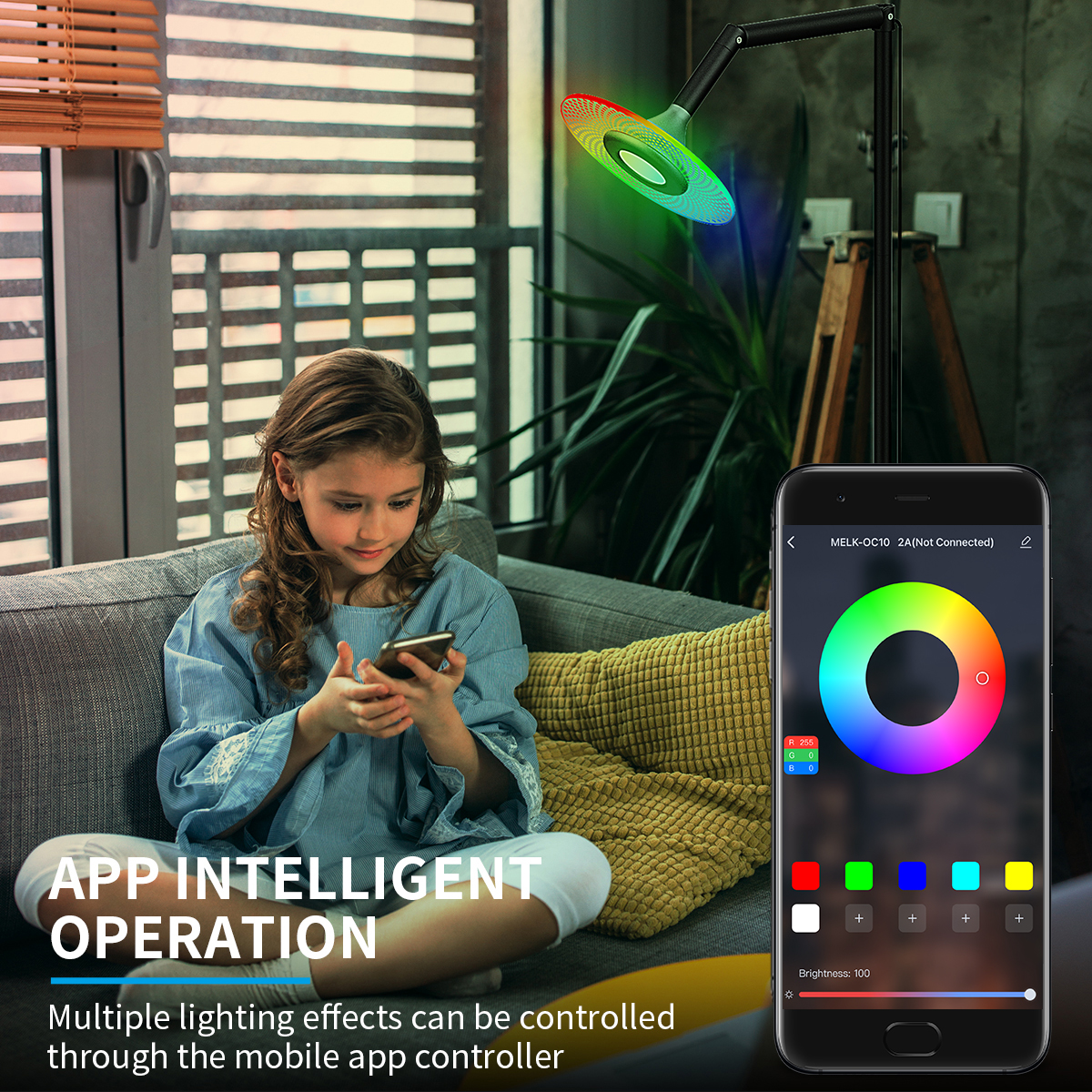 HCP058  朝天阅读落地灯